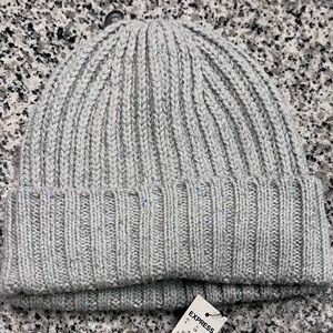 NWT Express Silver Sequin Beanie